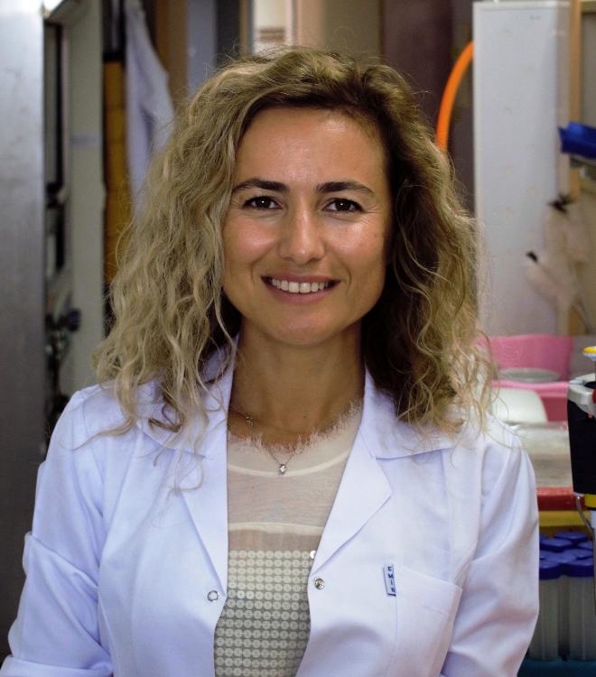 Dr. Öğr. Üyesi Funda Özdemir Değirmenci